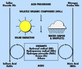 causes of acid rain lookalike