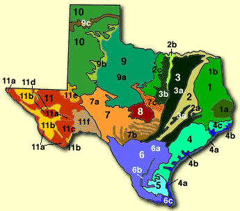 ECOLOGICAL REGIONS OF TEXAS MAP