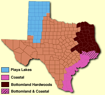 WETLAND SITES OF TEXAS MAP