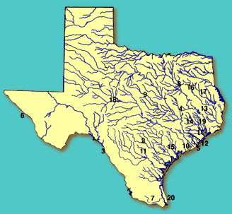 Polluted Segments of Texas Map