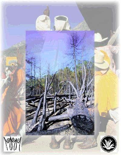 Sierra Tarahumara, Chihuahua, Mexico.