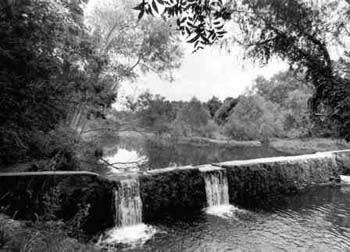 black and white photo of creek with small waterfall